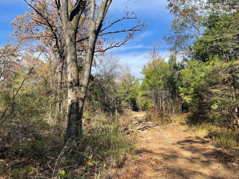 1155 VZ County 1415 rd, Van, TX for sale - Other - Image 1 of 5