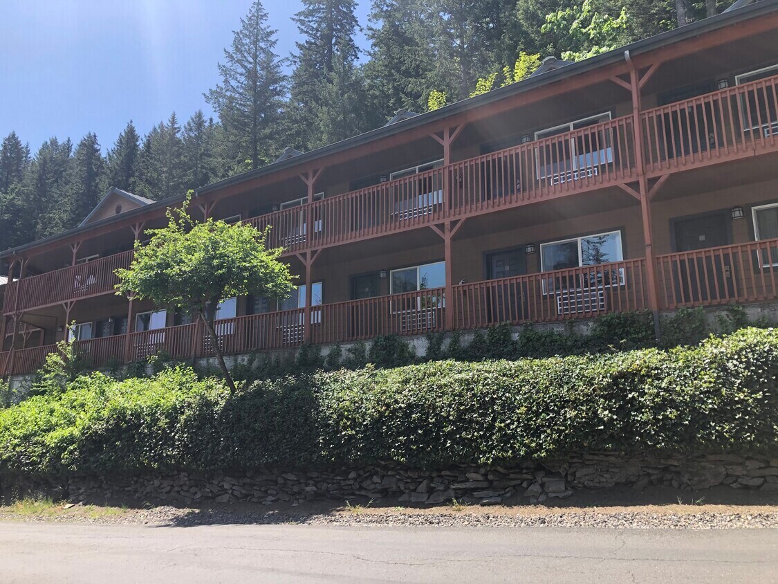 372 St Martins Springs Rd, Carson, WA 98610 Carson Hot Springs & Elk