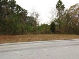 Mink Livsey Rd, Snellville, GA for sale - Other - Image 3 of 14