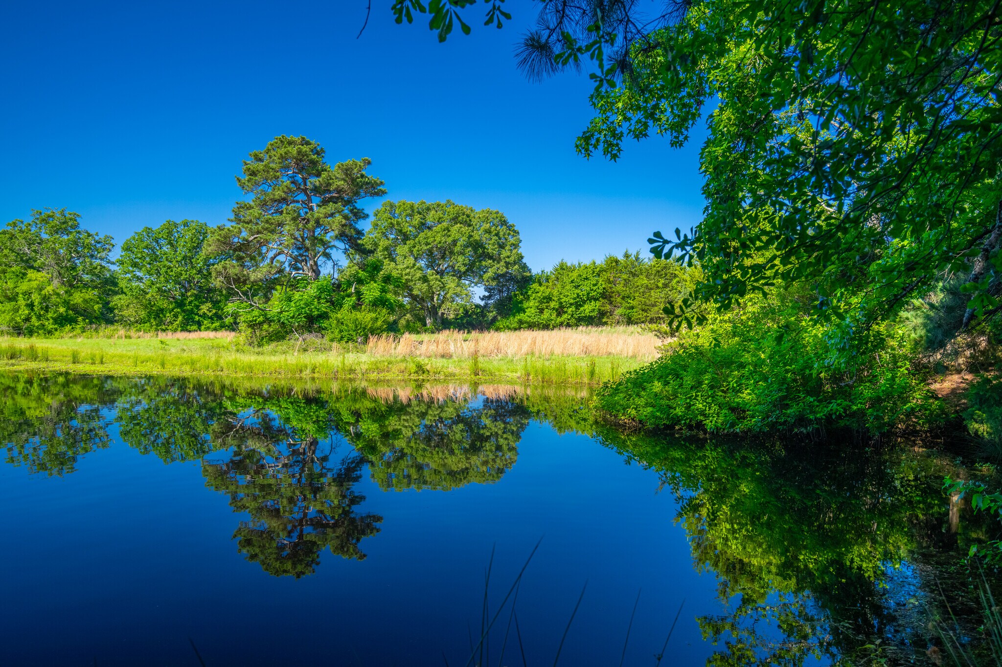 County Road 2592, Marietta, TX for sale Other- Image 1 of 39