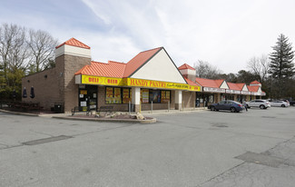 More details for 279 Smithtown Blvd, Nesconset, NY - Retail for Lease