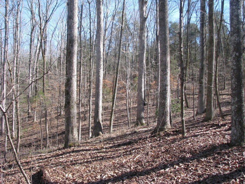 Hawk's Nest Rd, York, SC for sale - Site Plan - Image 1 of 1