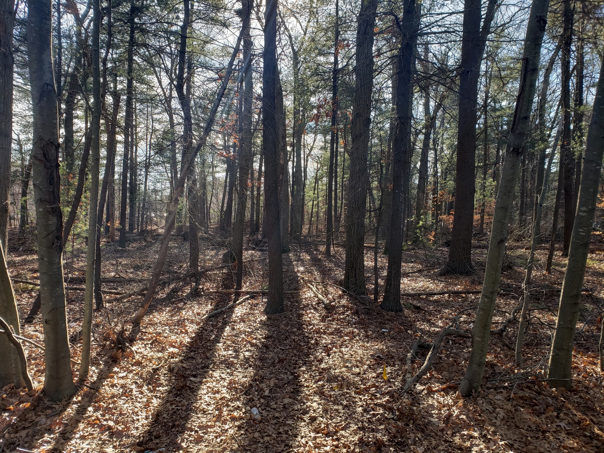 400 Cordwainer Dr, Norwell, MA for sale Building Photo- Image 1 of 3