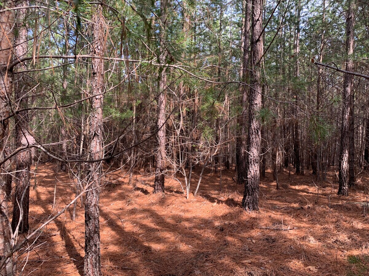 Green River Cove Road Rd, Mill Spring, NC 28756