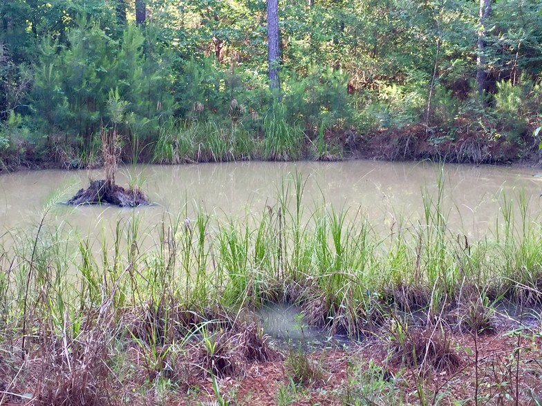 CR 3080, Doucette, TX 75942