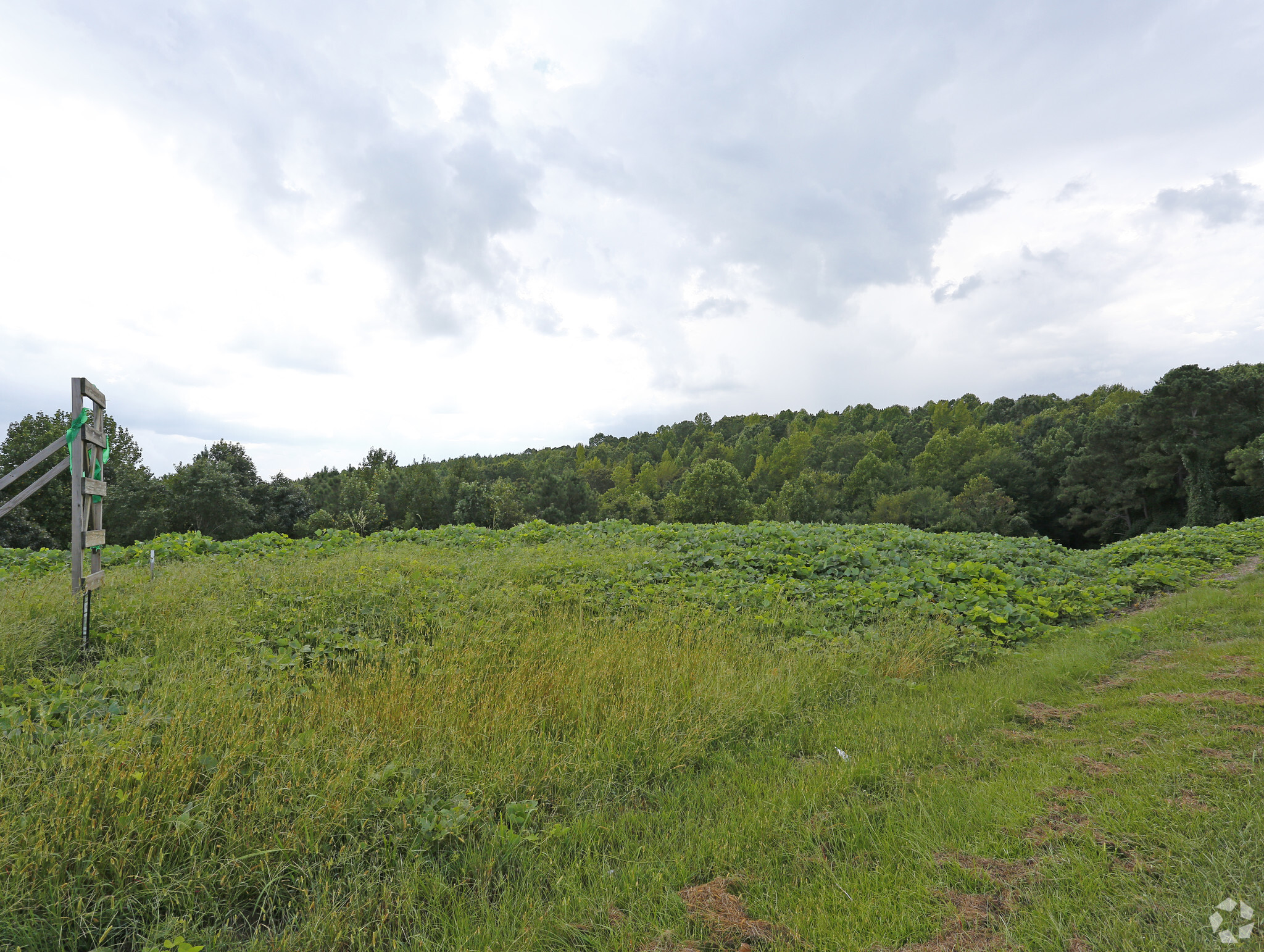 5530 US Highway 74, Lilesville, NC for sale Primary Photo- Image 1 of 1