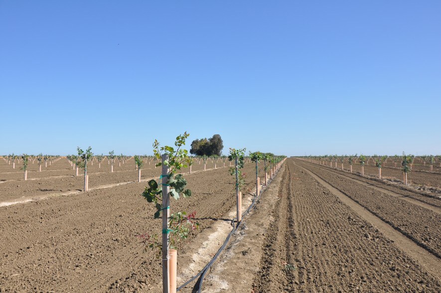 S Dickensen Ave, Riverdale, CA for sale - Building Photo - Image 1 of 1