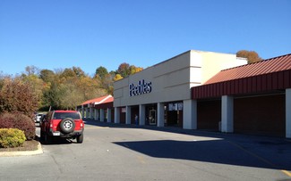 More details for 768 W Elk Ave, Elizabethton, TN - Retail for Lease