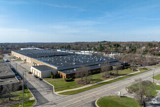 43155-43159 W 9 Mile Rd, Novi MI - Automotive Property