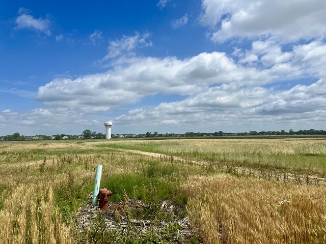 2504 Glenwood Dyer Rd, Lynwood, IL for sale - Building Photo - Image 3 of 7