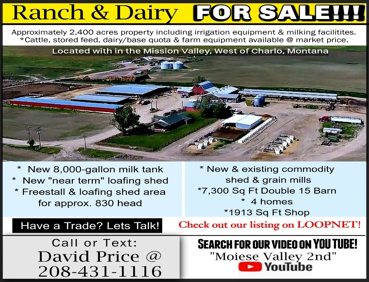 51989 Dairy Ln, Charlo, MT 59824