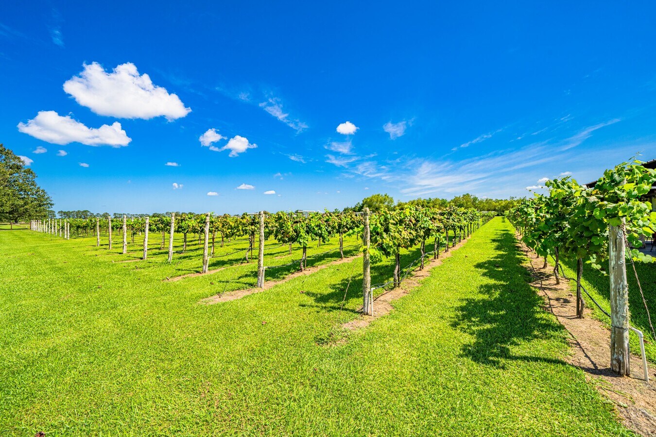 14185 Coon Rd., Winnie, TX 77665