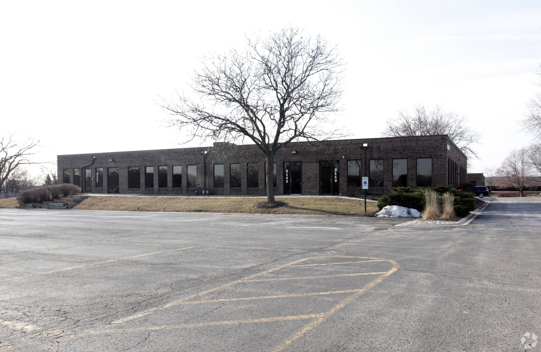 8141-8187 S Cass Ave, Darien, IL for sale Primary Photo- Image 1 of 1