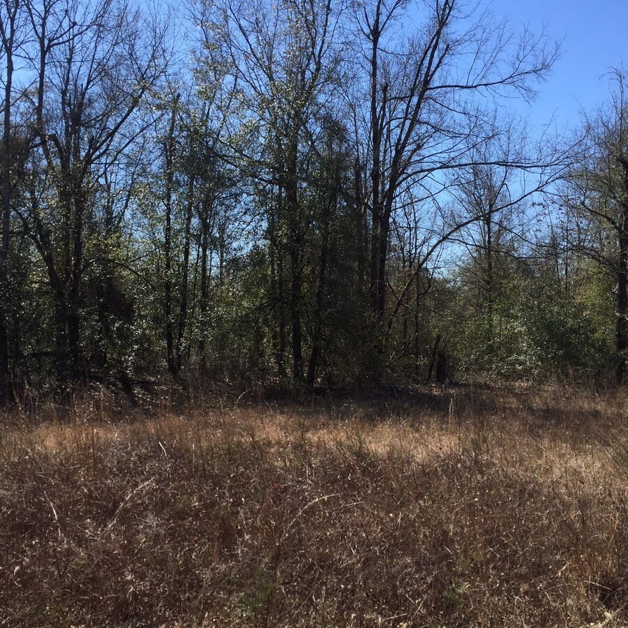 4745 Storey Mill Rd, Hephzibah, GA 30815