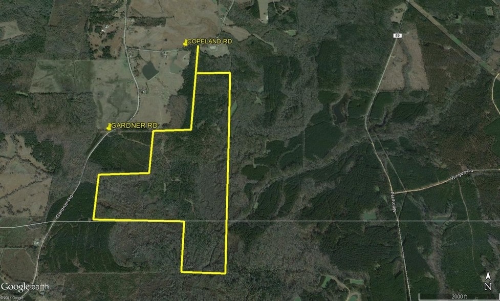 Copeland Rd, Grady, AL for sale - Primary Photo - Image 1 of 1