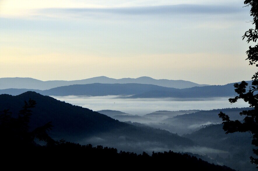 300 Arrowhead Rd, Ferguson, NC for sale - Primary Photo - Image 1 of 1