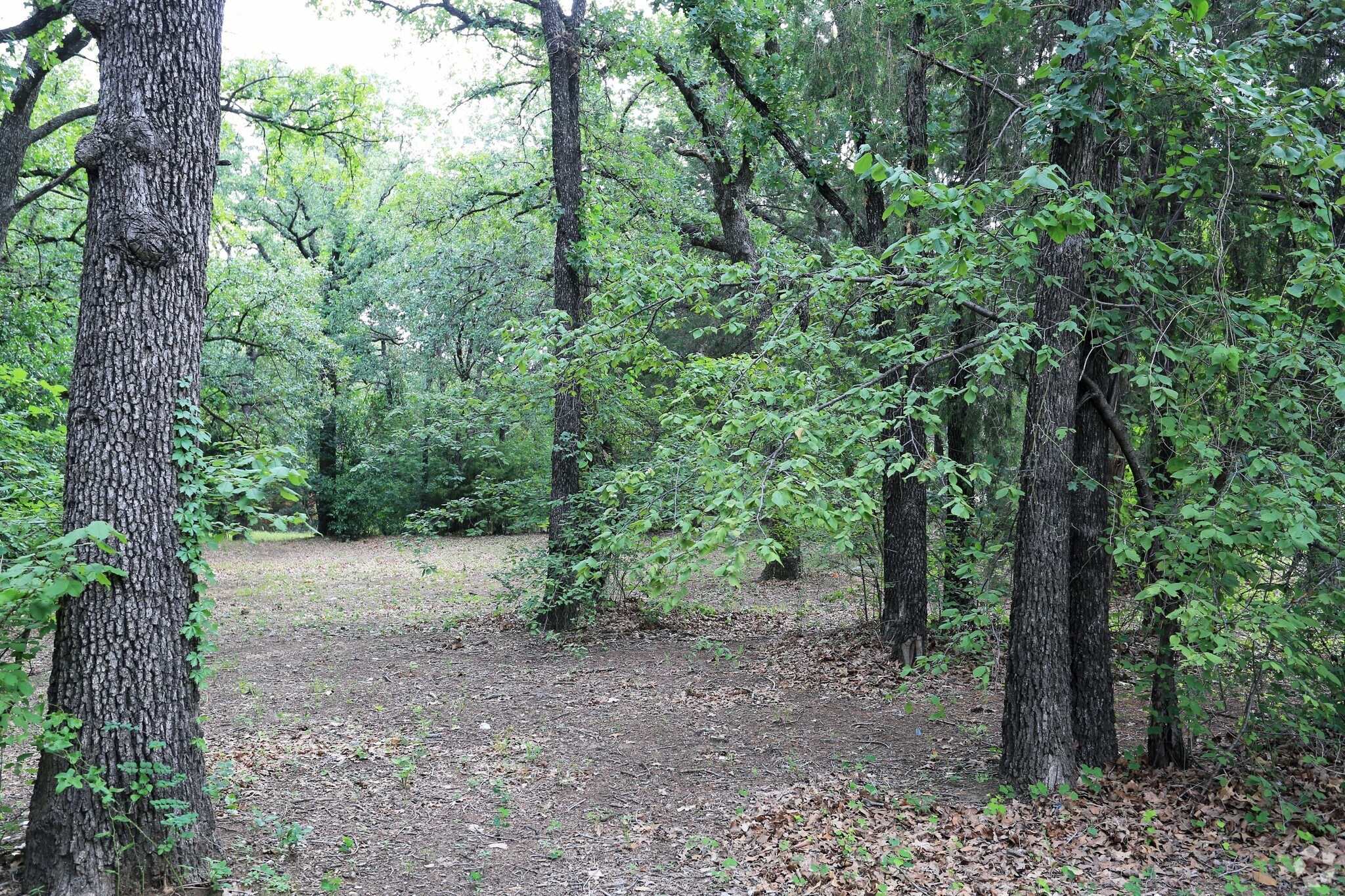 2255 Brown Blvd, Arlington, TX for sale Primary Photo- Image 1 of 1