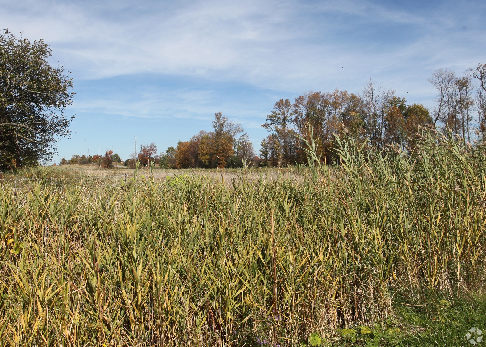 900 Rossland Rd W, Whitby, ON for sale Primary Photo- Image 1 of 1