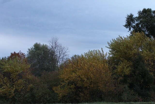 Lot 2 Fabyan Parkway, Elburn, IL for sale Primary Photo- Image 1 of 8