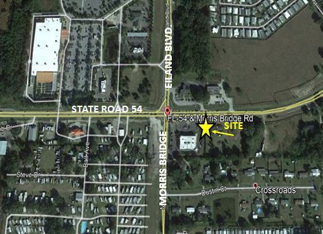 34540 State Road 54, Zephyrhills, FL for sale - Primary Photo - Image 1 of 1