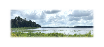 202-Acre 647-Sp RV Resort ProposedDevelopment - Campground