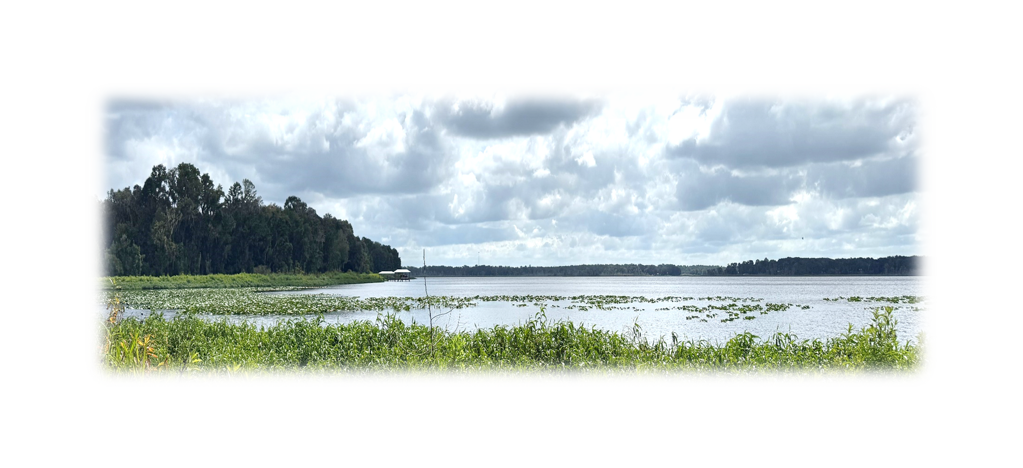 7707 Holden Park Rd, Hawthorne, FL for sale Building Photo- Image 1 of 20