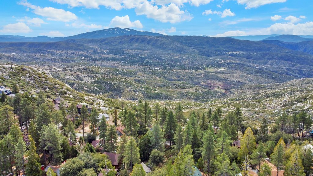 0 Deer Foot Ln, Idyllwild, CA for sale Primary Photo- Image 1 of 13