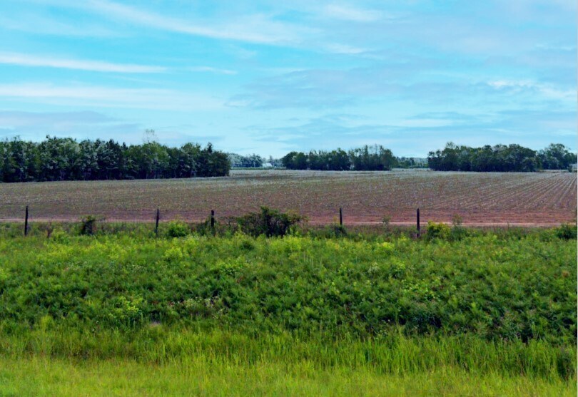 364 Two Churches Rd, Harleyville, SC 29448 Land for Sale