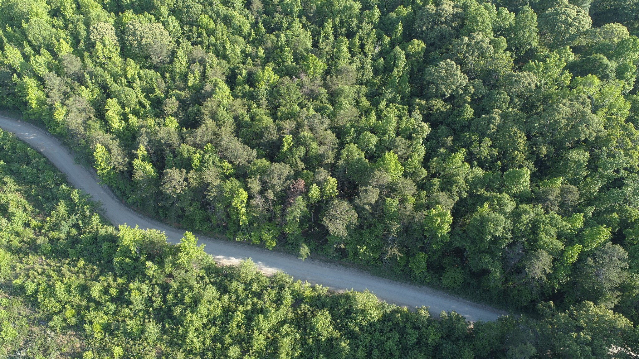 0 Fairview Rd, Pendergrass, GA for sale Other- Image 1 of 1