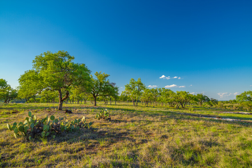 TBD Hamilton Pool Road, Bee Cave, TX for sale - Building Photo - Image 2 of 22