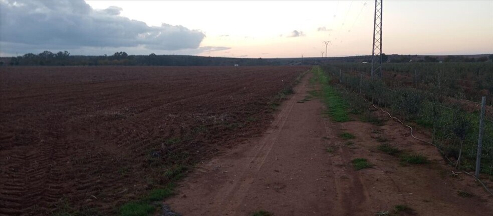 Land in Villalba de los Barros for sale - Building Photo - Image 2 of 10