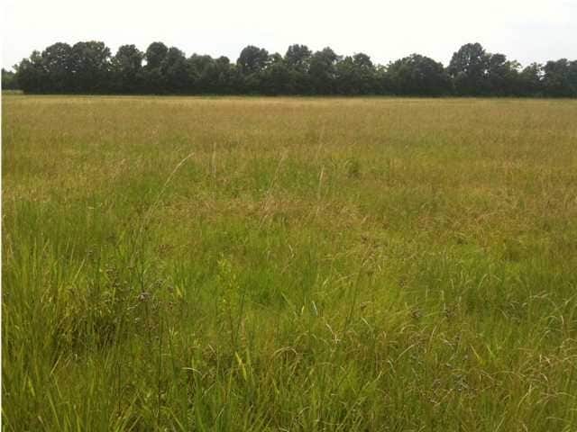 Domingue Rd, Lafayette, LA for sale Primary Photo- Image 1 of 1