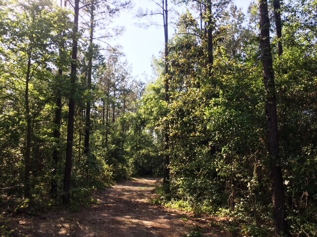 1936 Juniper Creek Rd, Quincy, FL for sale Other- Image 1 of 1