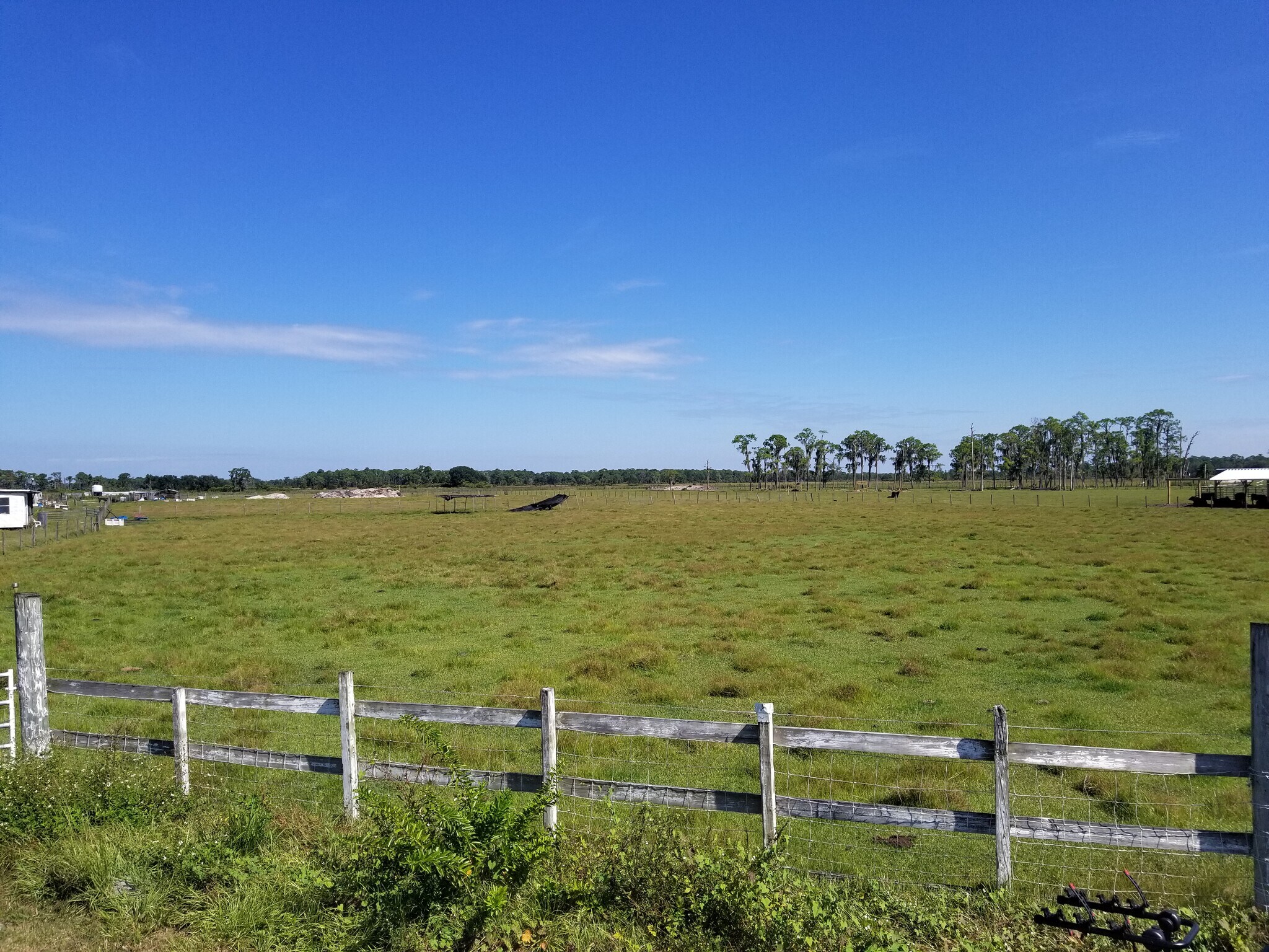 120 Angus, Venus, FL for sale Other- Image 1 of 1