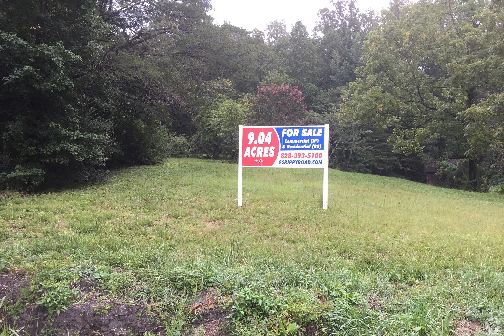 95 Rippy Rd, Tryon, NC for sale Primary Photo- Image 1 of 1