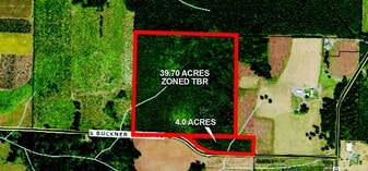 43.92 Acre Timber Investment Opportunity - Land