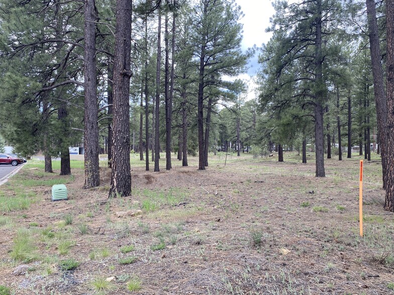 1801 W Route 66, Flagstaff, AZ for sale - Other - Image 3 of 4