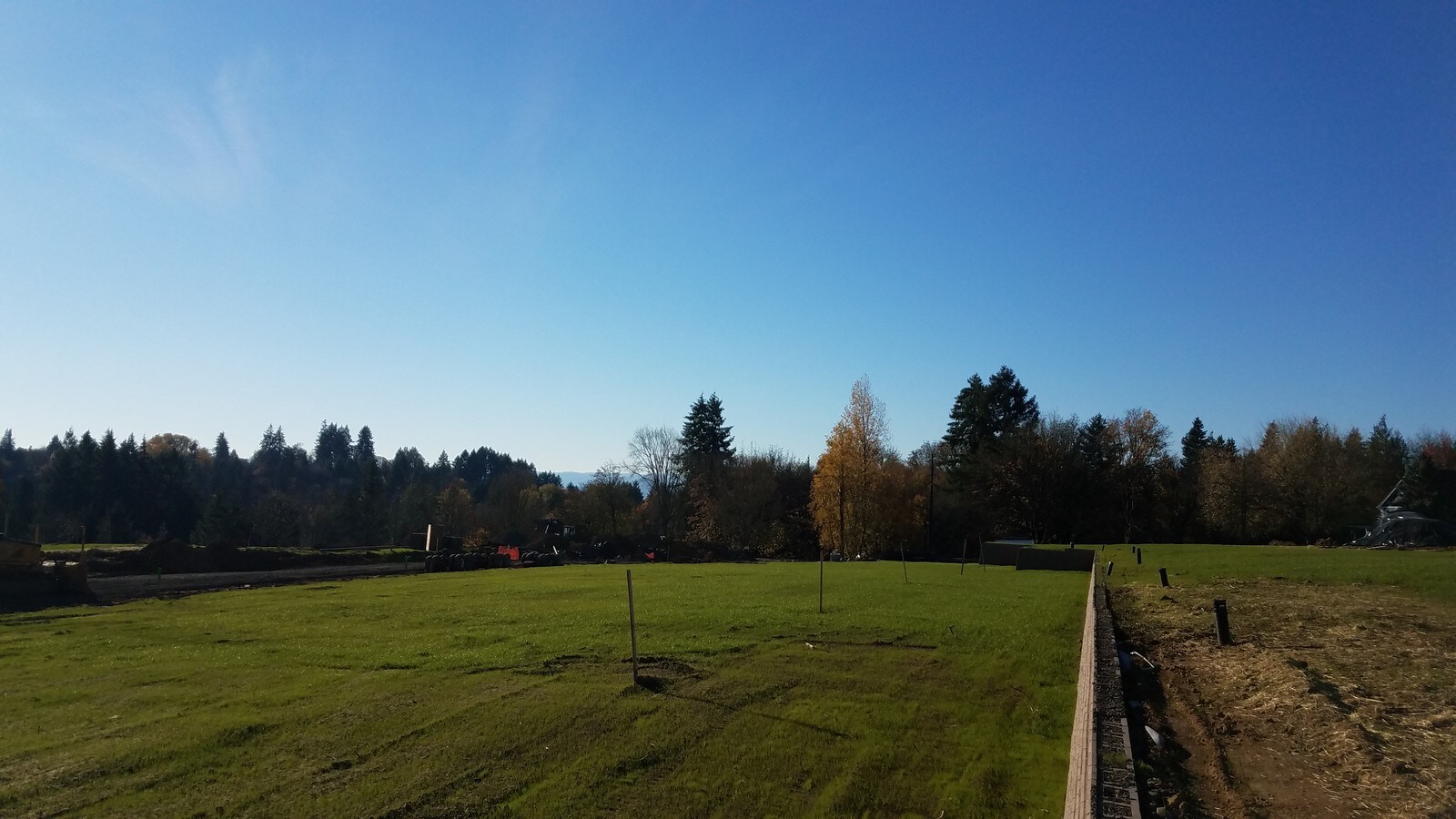 View Photo