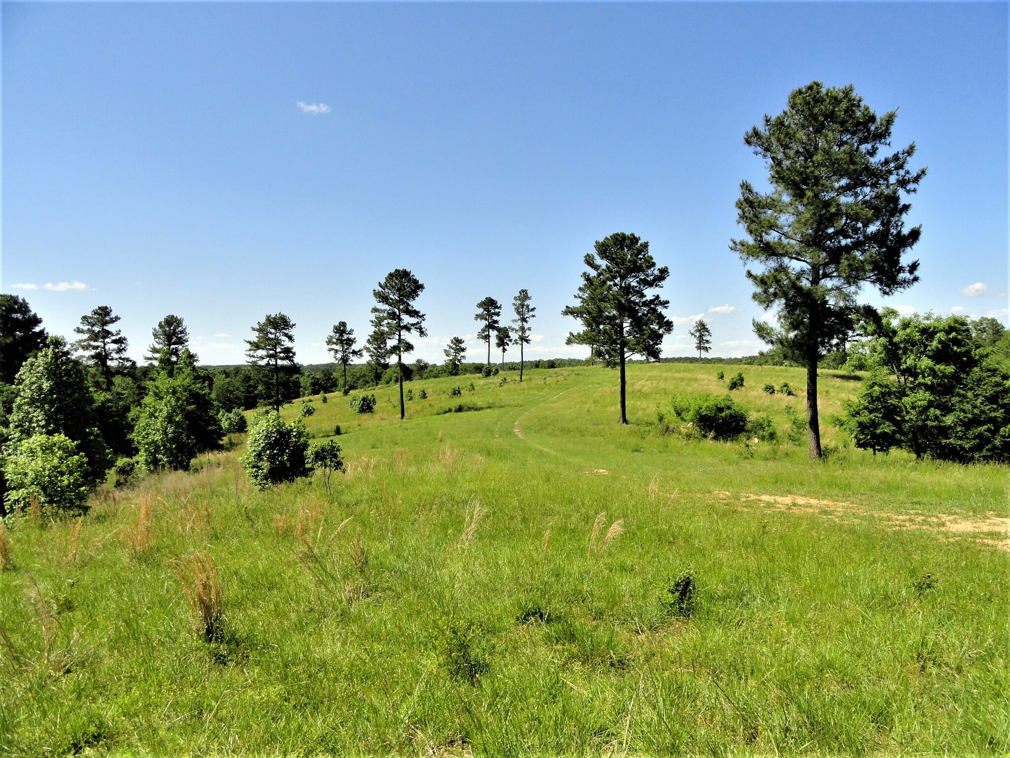 2518 Ridge Rd, Hodges, SC for sale Primary Photo- Image 1 of 1