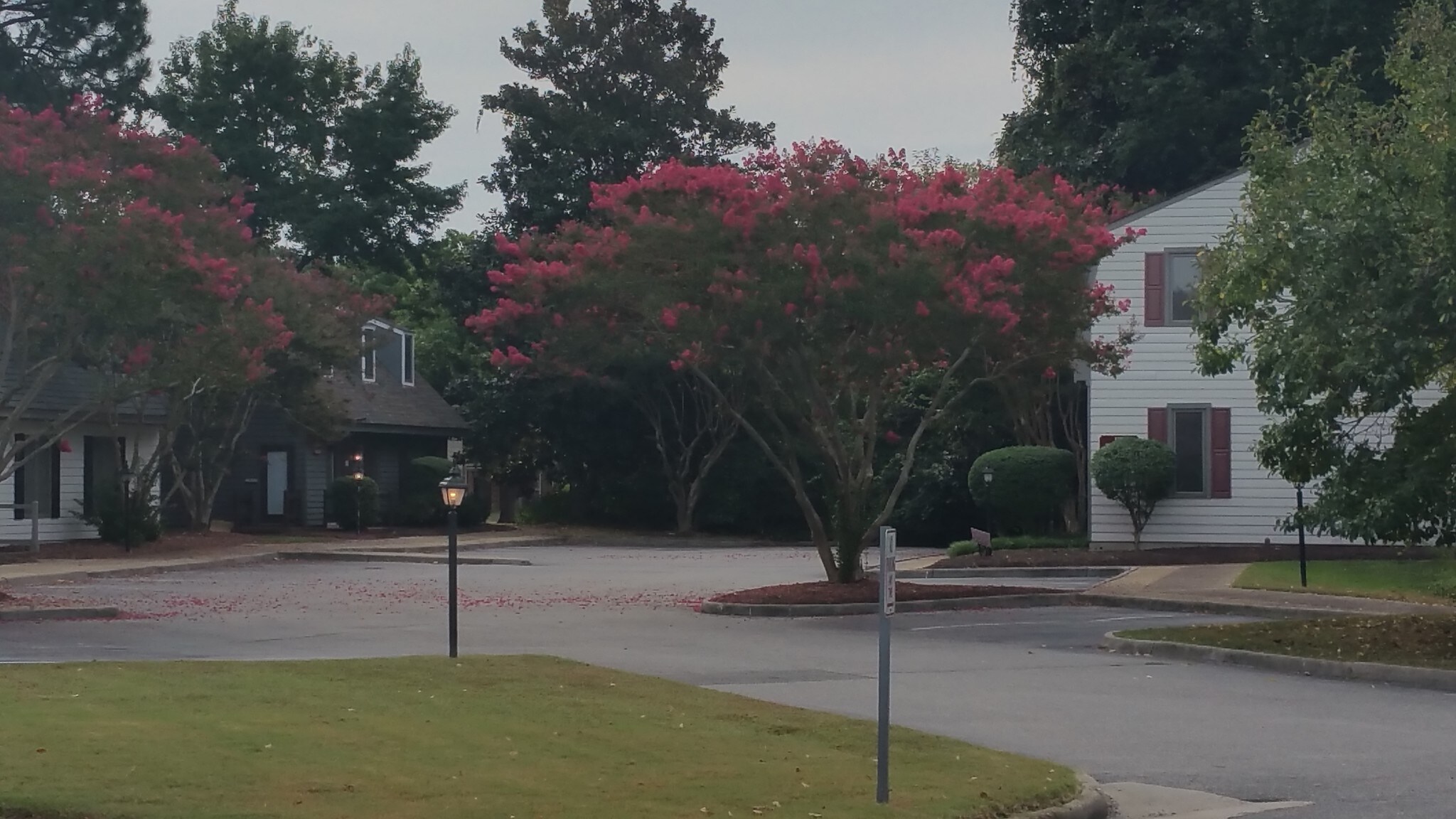 1117 Old Colony Ln, Williamsburg, VA for sale Building Photo- Image 1 of 1