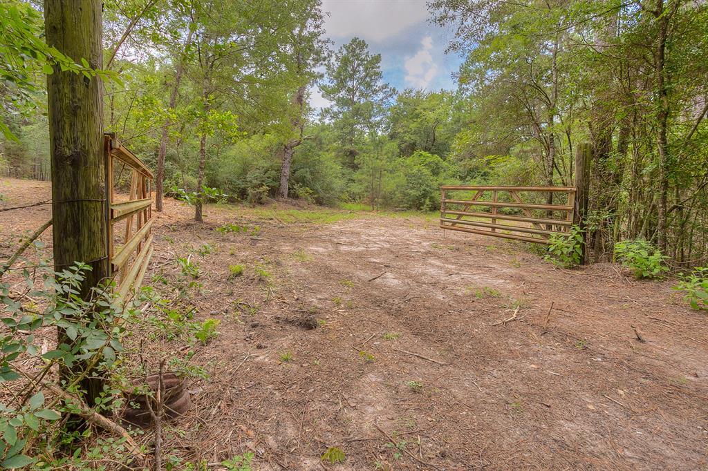 TBD Pool Road, Richards, Texas, 77873 -1, Richards, TX for sale Primary Photo- Image 1 of 1