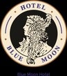 Blue Moon Hotel Ltd