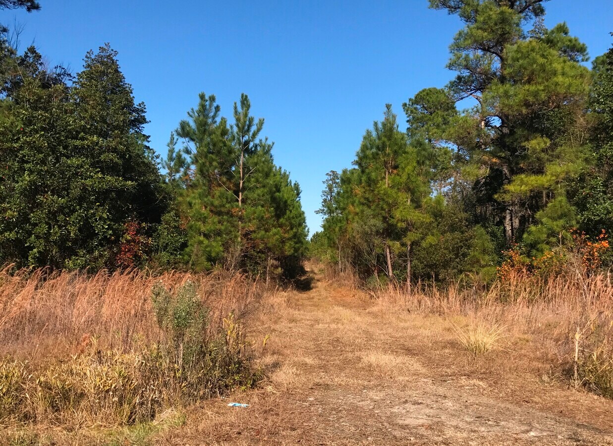 Hwy 258, Trenton, NC 28585