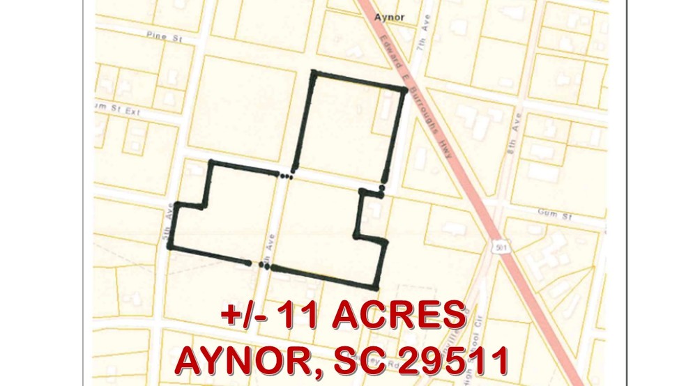 US Hwy 501, Aynor, SC for lease - Other - Image 3 of 8