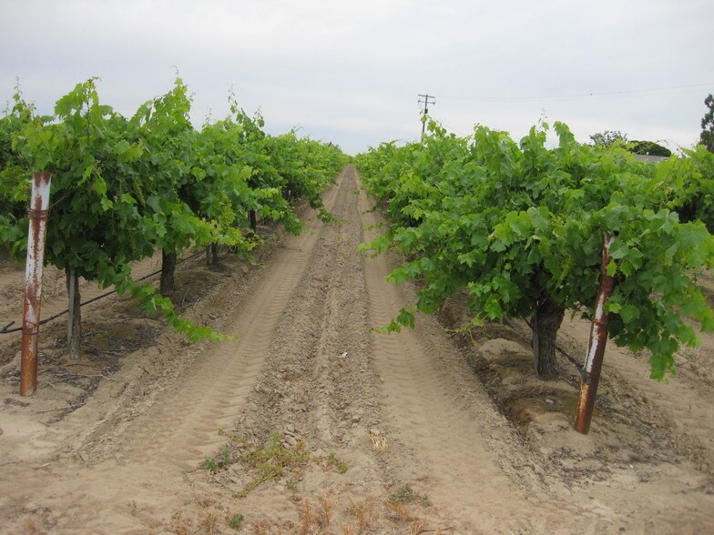 15763 S Temperance Ave, Selma, CA for sale - Primary Photo - Image 1 of 1