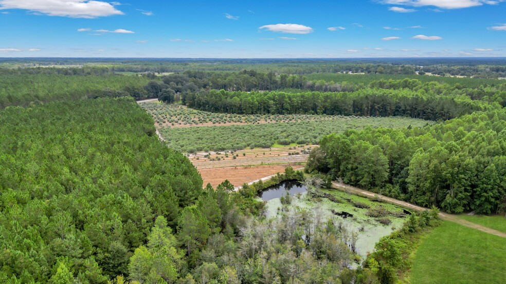 2437 GA Highway 121, Glennville, GA for sale - Aerial - Image 3 of 89