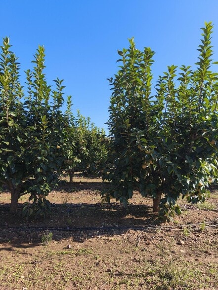 Plaça Bandes de Música de la Comunitat Valenciana, 5, València, Valencia for sale - Building Photo - Image 2 of 6