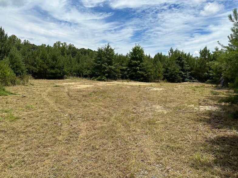 22361 US Route 1 Hwy, Ruther Glen, VA for sale - Building Photo - Image 3 of 9