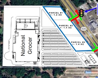 More details for 12110 SE US Highway 441, Belleview, FL - Retail for Lease