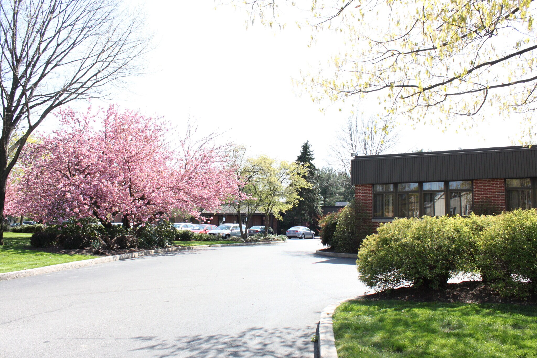 8200 Flourtown Ave, Wyndmoor, PA 19038 Wyndhill Professional Ctr